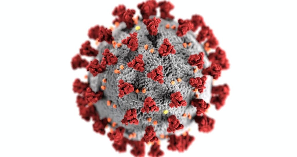 coronavirus