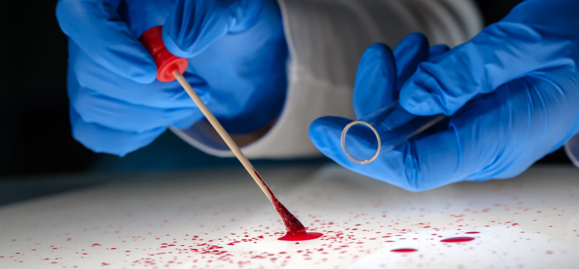A forensic investigator wearing blue gloves collects a blood sample with a swab and test tube, analyzing evidence at a crime scene - Manslaughter